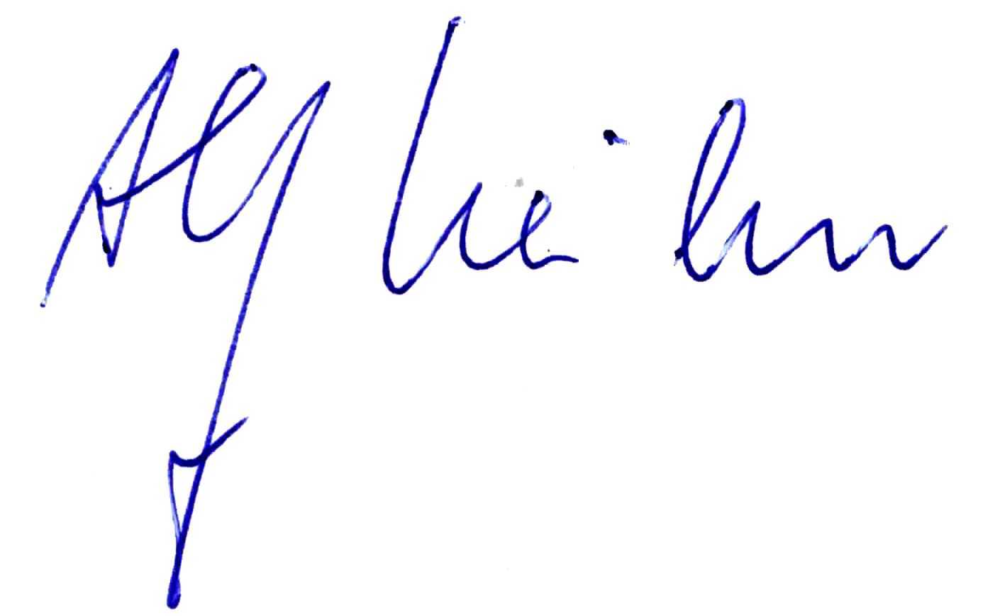 Unterschrift (eingescannt)